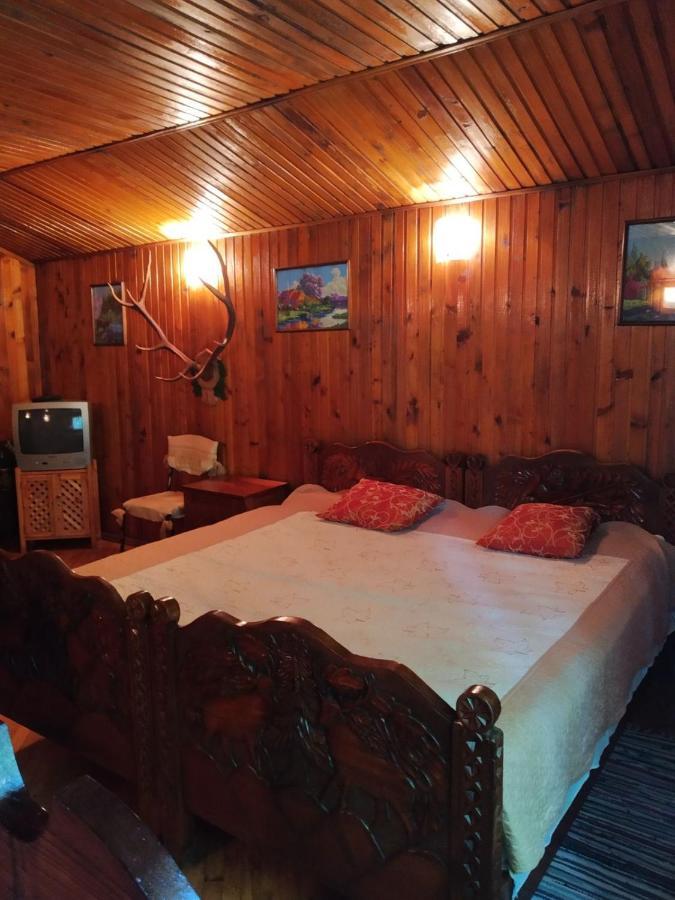 Domik S Saunoy Na Ogiyenko Apartment Kamianets Podilskyi Bagian luar foto
