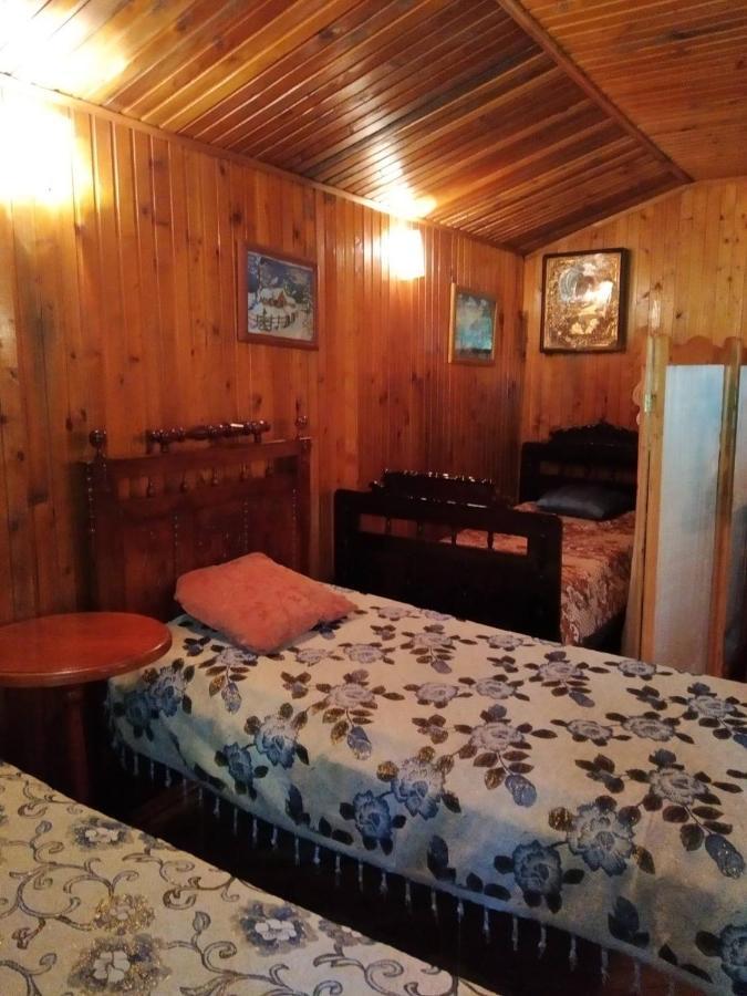 Domik S Saunoy Na Ogiyenko Apartment Kamianets Podilskyi Bagian luar foto